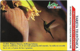 Cuba - Etecsa (Urmet) - Bird Pajaro Mosca, 01.2003, 7$P, 75.000ex, Used - Cuba