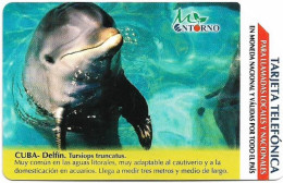 Cuba - Etecsa (Urmet) - Dolphin 2, 01.2003, 5$P, 75.000ex, Used - Cuba