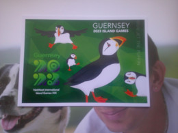 Carte Postale, Guernsey 2023 Island Games,  Puffin - Guernsey