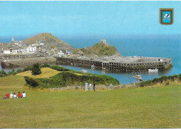 THE HARBOUR, ILFRACOMBE, DEVON, ENGLAND. UNUSED POSTCARD   Zf3 - Ilfracombe