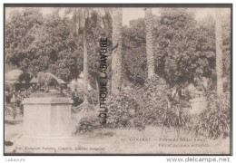 Guinée Française--CONAKRY---Entrée Du Jardin Public - Guinée Française