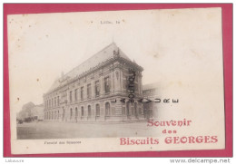 59 - LILLE--Faculté Des Sciences--Pub  Souvenir Biscuits GEORGES---Précurseur - Lille