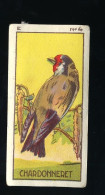 Jacques - 1933 - Oiseau, Birds, Vogels - E4 - Chardonneret, Distelvink, Carduelis, Goldfinch - Jacques