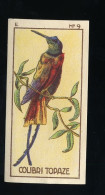 Jacques - 1933 - Oiseau, Birds, Vogels - E9 - Colibri Topaze - Jacques