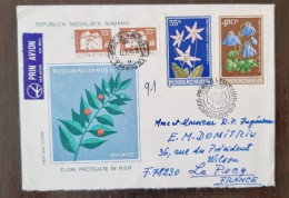 ROUMANIE Fleurs, Fleur Sur Lettre Par Avion Cachet 1979. Yvert N°3157+3162 (2) - Andere & Zonder Classificatie