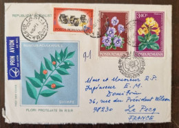 ROUMANIE Fleurs, Fleur Sur Lettre Par Avion Cachet 1979. Yvert N°3158+3161 (2) - Other & Unclassified