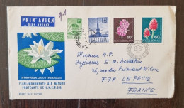 ROUMANIE Fleurs, Fleur Sur Lettre Par Avion Cachet 1972. Yvert N°2683+2685 - Sonstige & Ohne Zuordnung