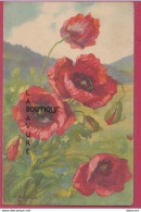 ILLUSTRATEUR--HALLERT--Anna-----Coquelicots - Haller, A.