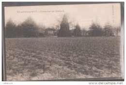 33-----BLANQUEFORT---DOMA INE DE CURGAN----les Vignes - Blanquefort