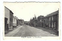Signeulx   La Grand'Route  1953 - Musson