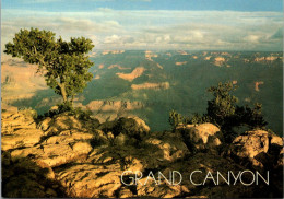 Arizona Grand Canyon National Park Yaki Point - Grand Canyon