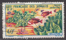 French Somali Coast, Cote Des Somalis 1963 Fish Mi#353 Used - Gebruikt