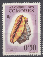 French Comores, Comoro Islands 1965 Shells Mi#42 Mint Hinged - Unused Stamps