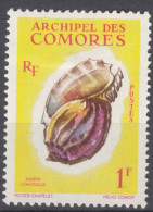 French Comores, Comoro Islands 1965 Shells Mi#43 Mint Hinged - Ongebruikt