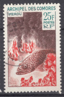 French Comores, Comoro Islands 1965 Fish Mi#71 Used - Usados