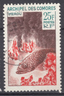 French Comores, Comoro Islands 1965 Fish Mi#71 Used - Oblitérés