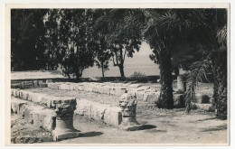 CPA - CAPHARNAUM (Israël) - (non Légendée) - Israel