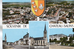 CHATEAU SALINS SOUVENIR  CPSM 10X15 TBE - Chateau Salins