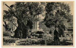 CPA - JERUSALEM (Israël) - L' Intérieur Du Jardin De Gethsemani - Israel