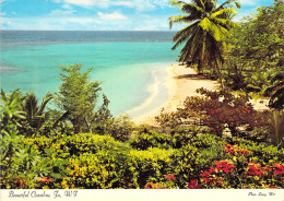 Jamaïque - Magnifique Littoral - Jamaïque