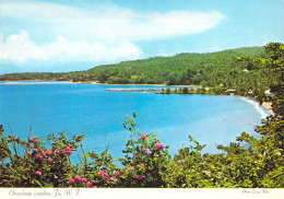 Jamaïque - Littoral D'Oracabessa - Jamaïque