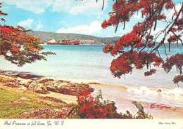 Jamaïque - Poinciana Rouge En Plein Floraison - Jamaïque