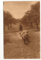 CPA - (Israël) - Sur Le Chemin De Bethléhem - Israel