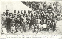 Nouvelle Calédonie * Cocotiers Et Une Tribu Canaque - Nouvelle Calédonie