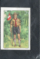 Chromo Les Scouts Scoutisme Chocolat Nestlé 1936/37 Série Les Sports 52 N° 5 Chef De Patrouille Bien 56 X 40 Mm - Nestlé