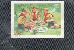 Chromo Les Scouts Scoutisme Chocolat Nestlé 1936/37 Série Les Sports 52 N°2   L'Herborisation 56 X 40 Mm - Nestlé