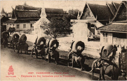 PC PHNOM-PENH ELEPHANTS DU ROI HRANACHES POR LA PROMENADE CAMBODIA (a37815) - Cambodge