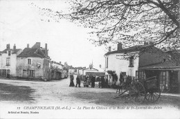 CHAMPTOCEAUX (Maine-et-Loire) - La Place Du Château Et La Route De Saint-Laurent-des-Autels - Champtoceaux