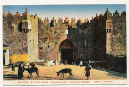 CPA - JERUSALEM (Israël) - Porte De Damas - Israël