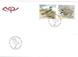Island Iceland  2001 Northern Wheatear And  Common Ringed Plover  Mi  996-997 FDC - Cartas & Documentos