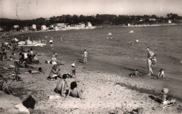 La Seyne Sur Mer - Plage Des Sablettes - Baigneurs - La Seyne-sur-Mer