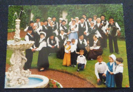 85 - VENDEE  - ST-PIERRE DU CHEMIN  -  "LE JOYEUX QUADRILLE" - FOLKLORE VENDEEN - Autres & Non Classés