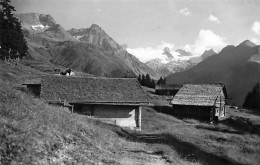 Medelsergebirge Bei Disentis - Disentis/Mustér