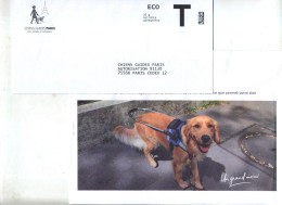 Enveloppe Reponse T Guide Chien Paris + Destneo - Buste Risposta T