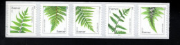 1857519666 2015 SCOTT 4977C (XX)   POSTFRIS MINT NEVER HINGED   - FLORA - FERNS WITH PLATE PCN S1111 - Ungebraucht