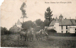 Ancien Chateau Fort D' Ossogne  (1525) Chevaux Petit Manque Coin Sup.gauche Voyagé En 19??? Ne Possède Plus Son Timbre - Havelange