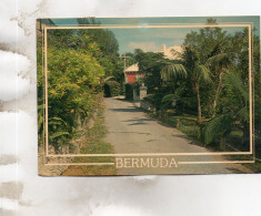 BERMUDES - A Typical Country Lane - Bermuda