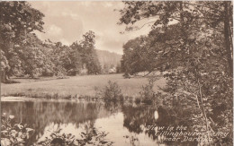 VIEW IN THE TILLINGBOURNE VALLEY - NEAR DORKING - Surrey