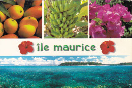 ILE MAURICE . COULEURS LOCALES - Maurice