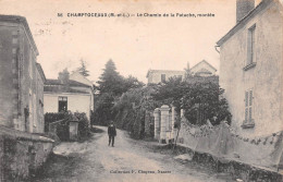 CHAMPTOCEAUX (Maine-et-Loire) - Le Chemin De La Patache, Montée - Voyagé 1924 (2 Scans) - Champtoceaux