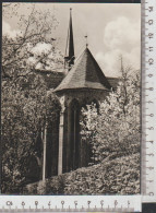 Kloster CHORIN Ostchor Im Frühling  ( AK 3738 )  Nicht Gelaufen,  Günstige Versandkosten - Chorin