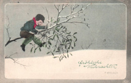 Fröhliche Weihnachten - Cpa Illustrateur F. WIELSCH - Enfant Sur Un Arbre - Joyeux Noël - Other & Unclassified