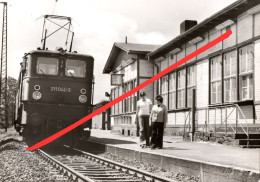 AK Neumark Bahnhof Zug Eisenbahn A Brunn Schönfels Lichtentanne Fraureuth Stenn Werdau Zwickau Reichenbach Vogtland DDR - Reichenbach I. Vogtl.