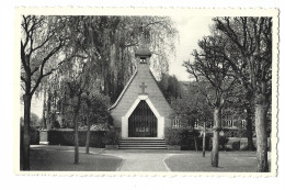 Alken.   -   St-Aldegondiskapel. - Alken