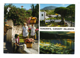 Delcampe - Cartolina Postale - Spagna - Isole Canarie - Tenerife 2 - Viaggiata - Lanzarote
