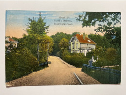 Netherlands Nederland Bloemendaal Saxenburgerlaan House Noord Holland 17072 Post Card POSTCARD - Bloemendaal